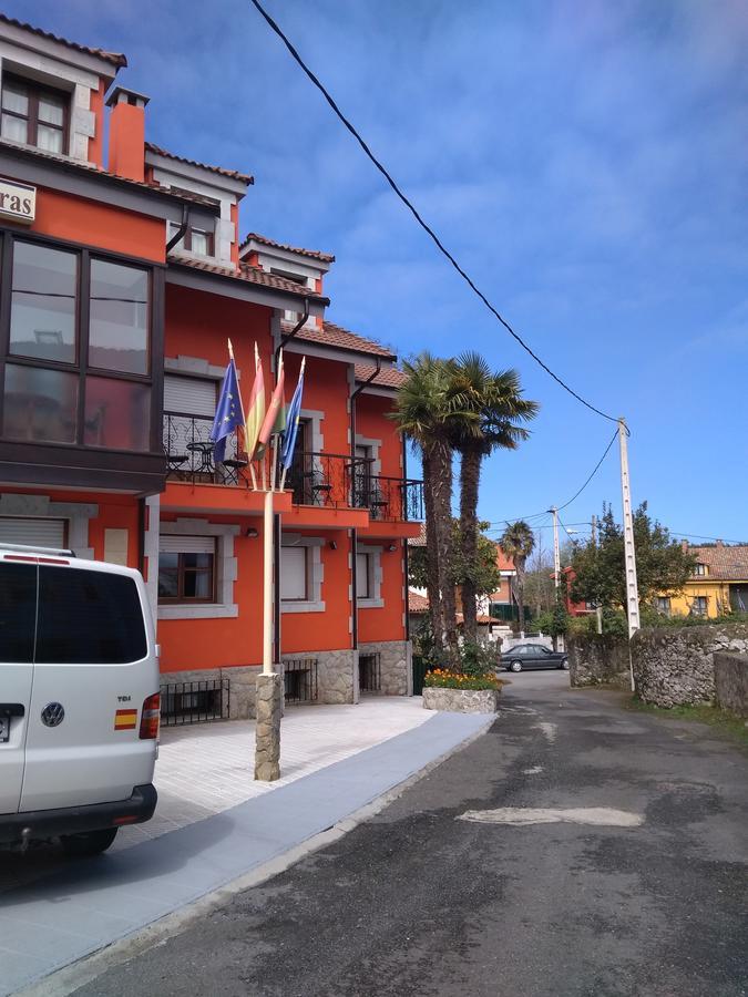 Palmeras Celorio (Llanes)